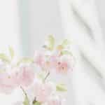 Courtroom Strategies That Are Changing the Legal Landscape