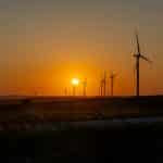 The Future of Environmental Law and Global Sustainability