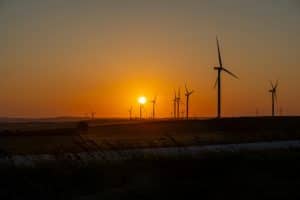 The Future of Environmental Law and Global Sustainability