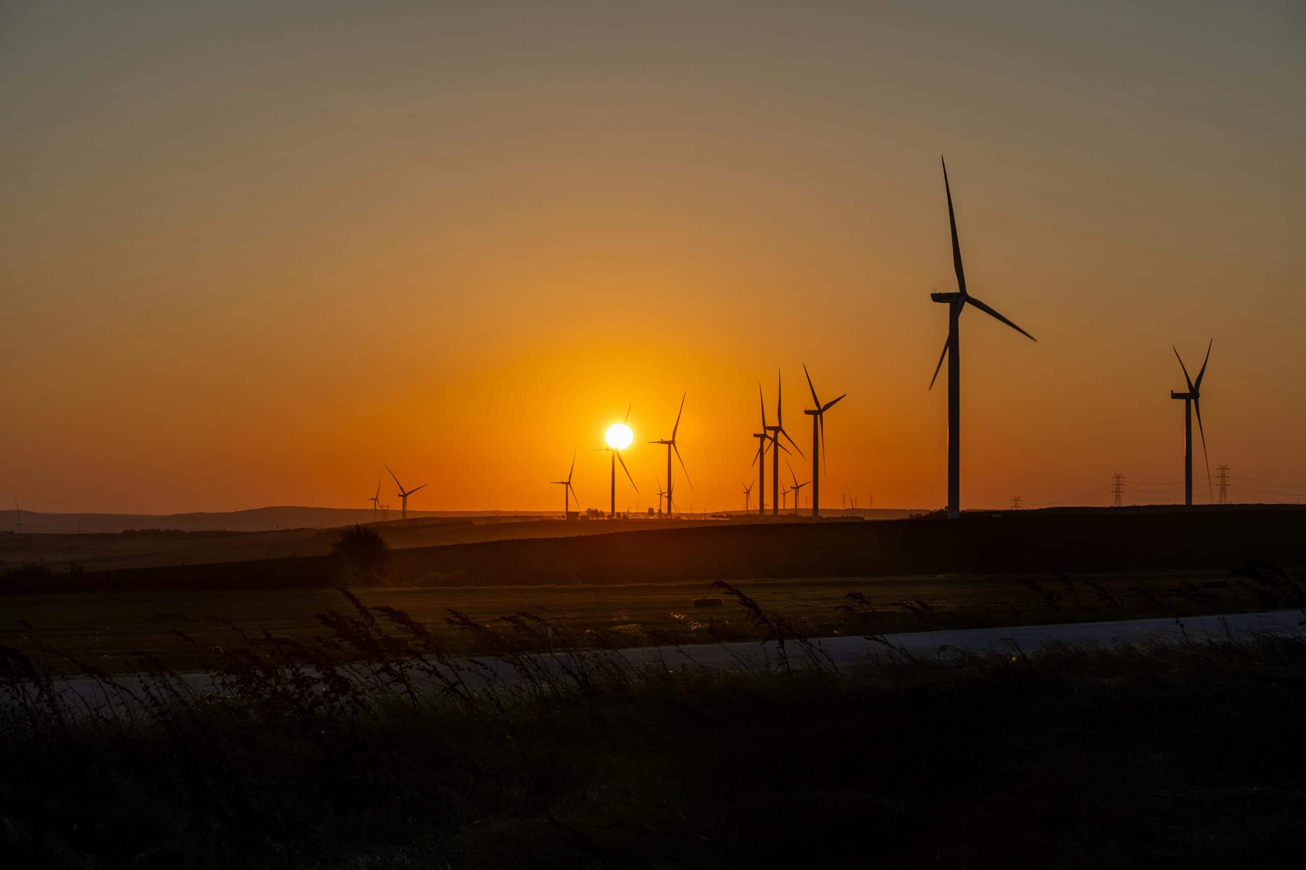 The Future of Environmental Law and Global Sustainability
