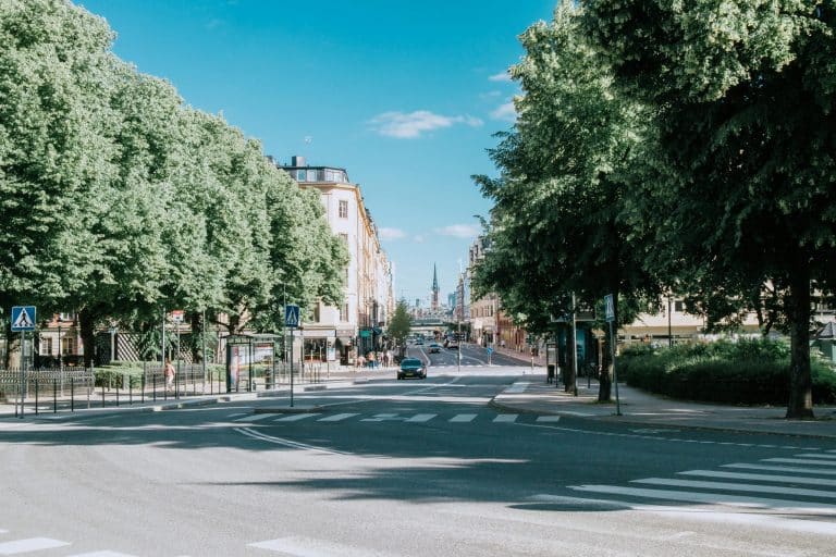 Urban and Suburban Living: Bridging the Lifestyle Divide
