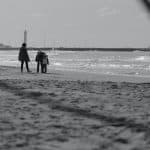 Navigating the Intricate Landscape of Family Law Dynamics