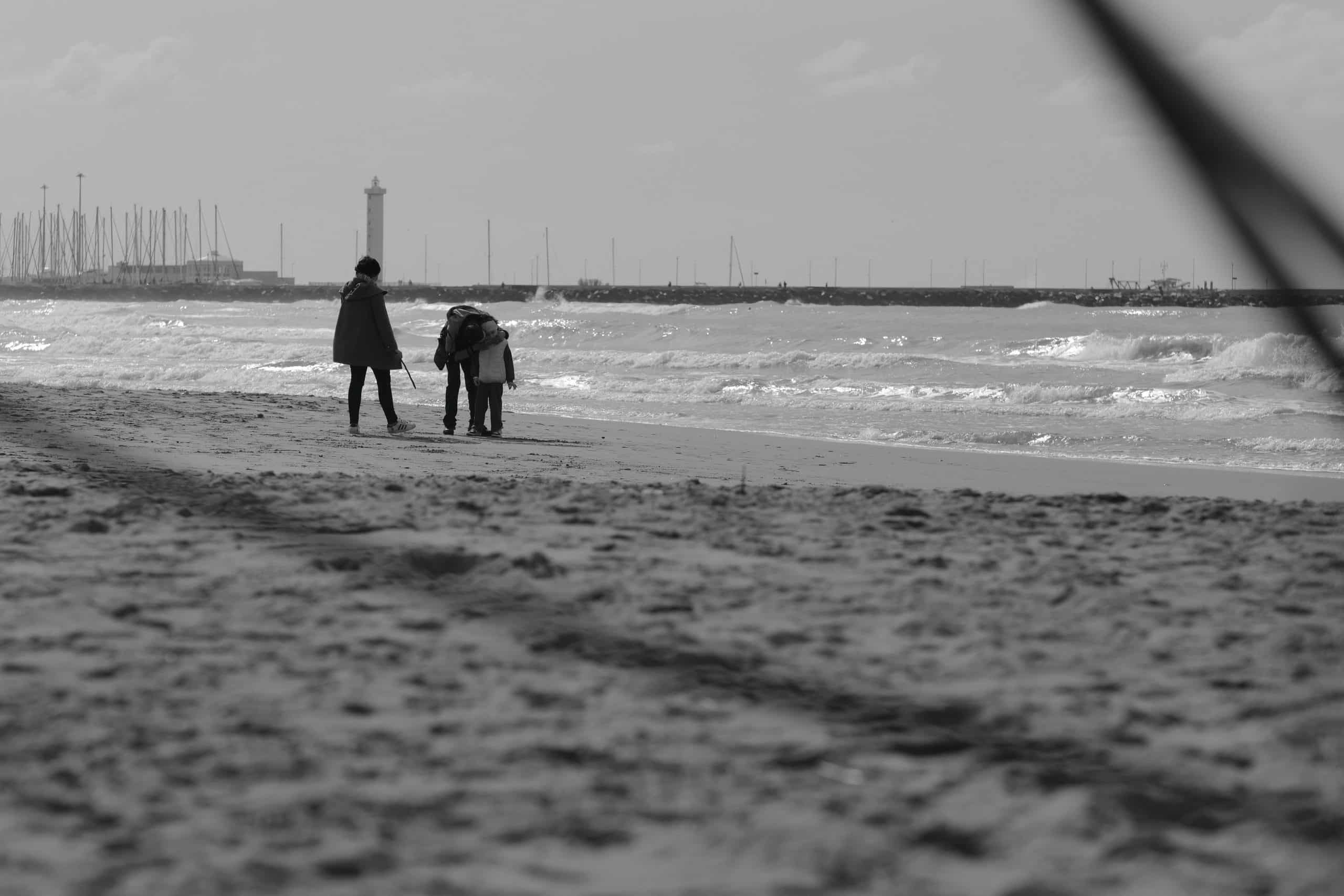 Navigating the Intricate Landscape of Family Law Dynamics