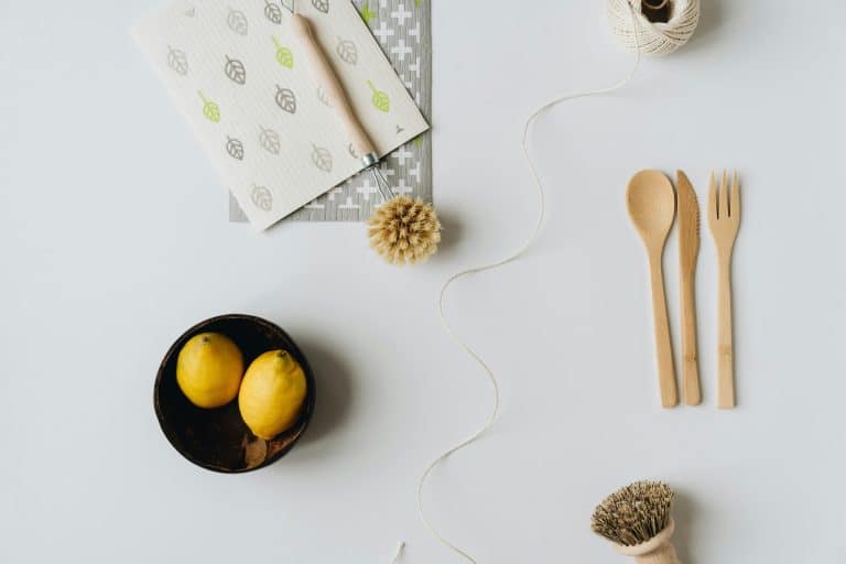 Sustainable Living: Designing Homes for Environmental Consciousness