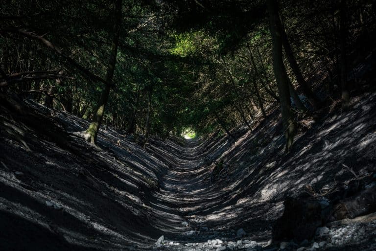 Unlocking the Hidden Potential of Interdisciplinary Career Paths