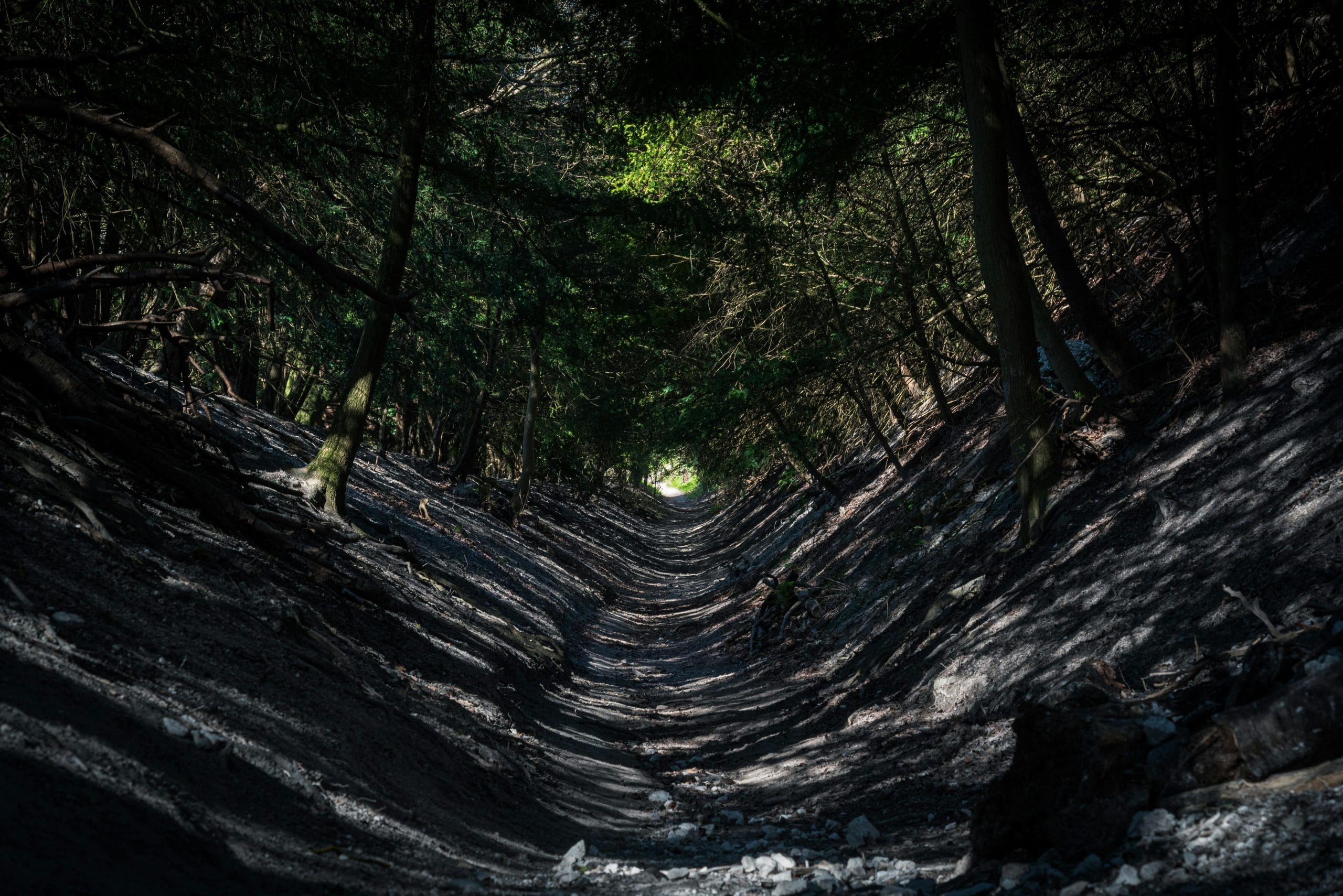Unlocking the Hidden Potential of Interdisciplinary Career Paths