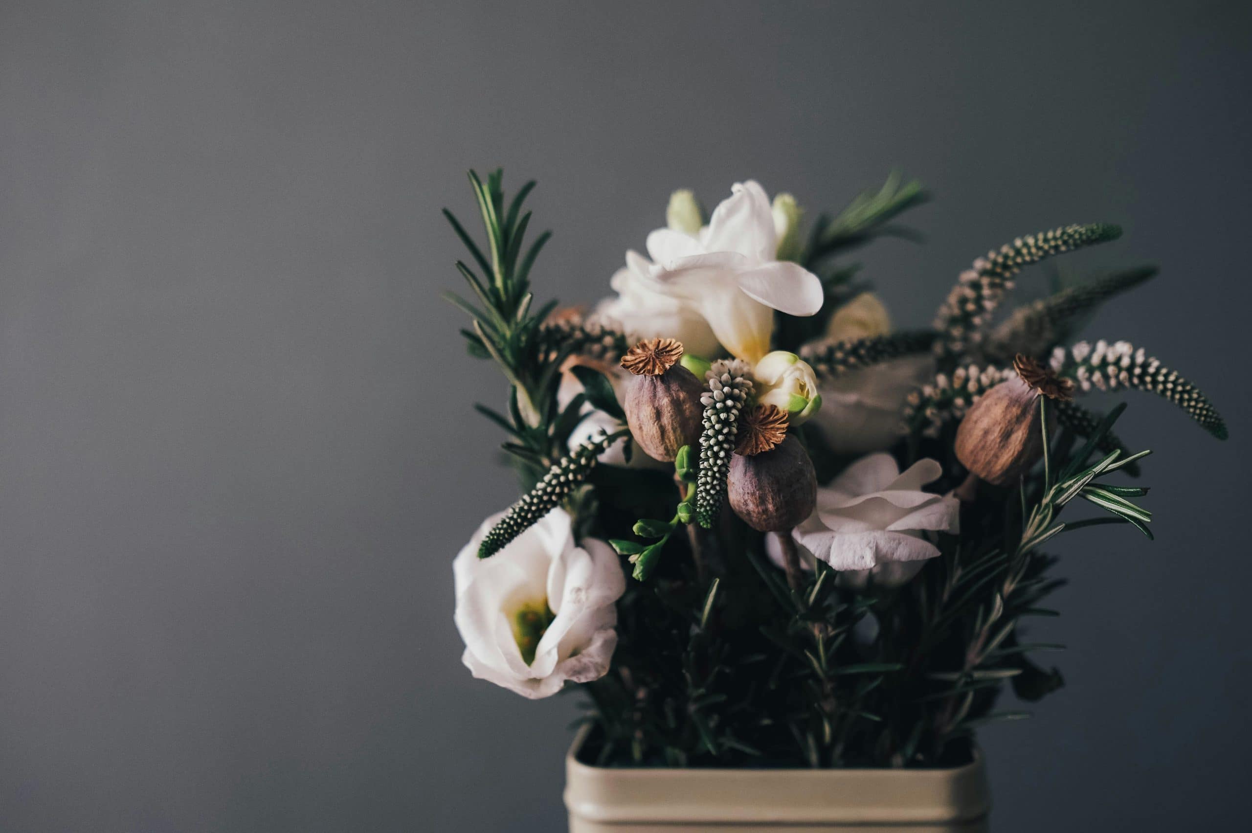 The Impact of Arts and Humanities on Holistic Career Development