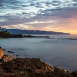 Cultivating Resilience in an Ever-Changing Professional Landscape