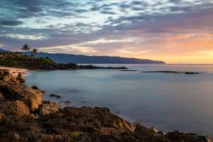 Cultivating Resilience in an Ever-Changing Professional Landscape
