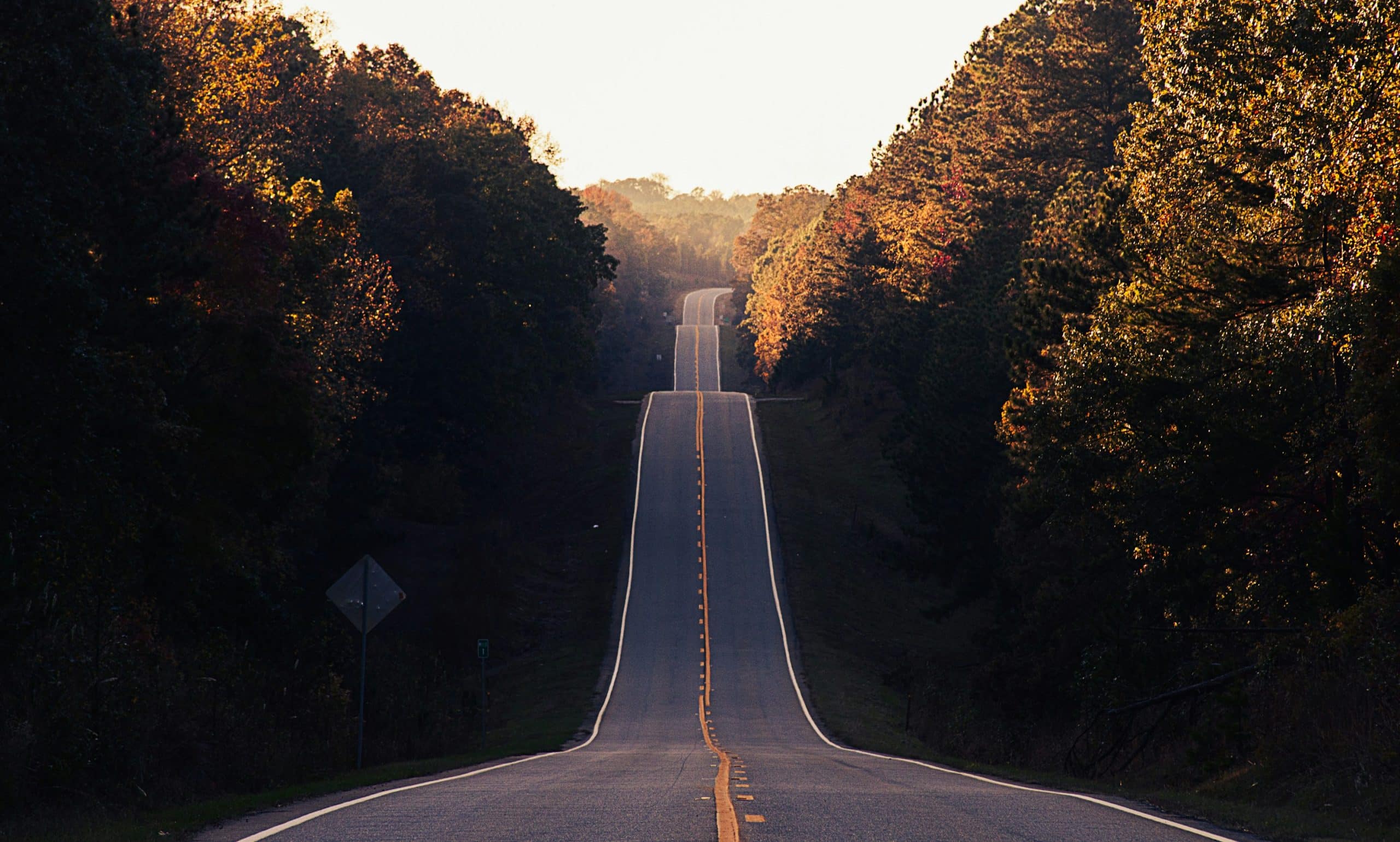 Empowering Your Professional Journey with Strategic Mindset Shifts