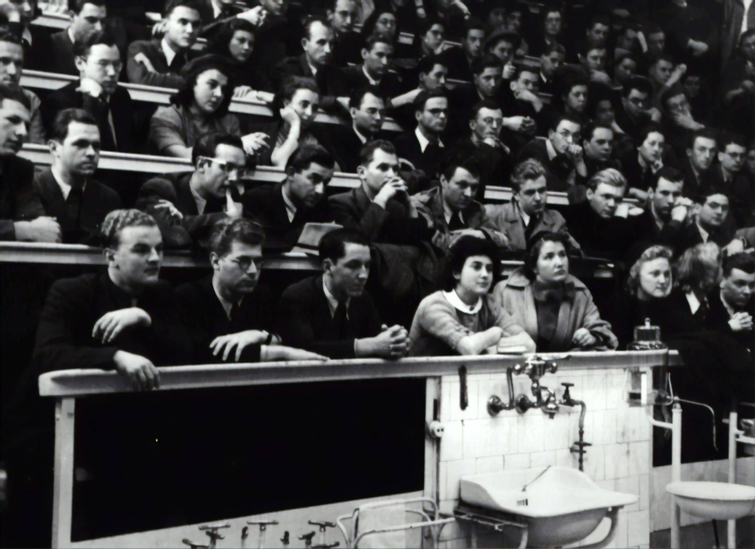Why Students Are Embracing Lifelong Learning as a Career Catalyst