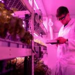 How Vehicle Engineering Is Solving Global Environmental Challenges