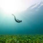 Augmented Reality: The Next Frontier of Digital Experience