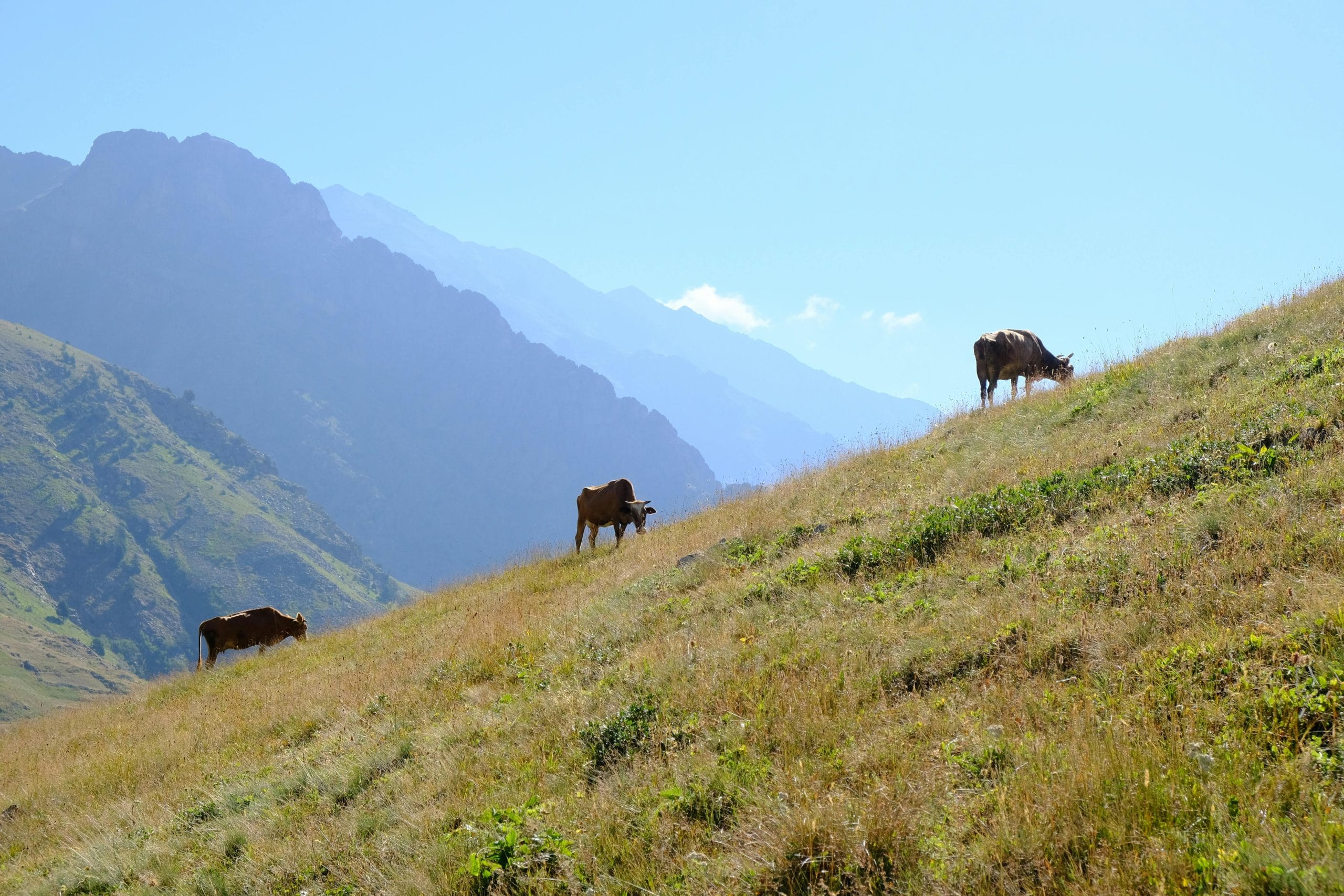Navigating Sustainable Luxury: Eco-Friendly High-End Travel Experiences