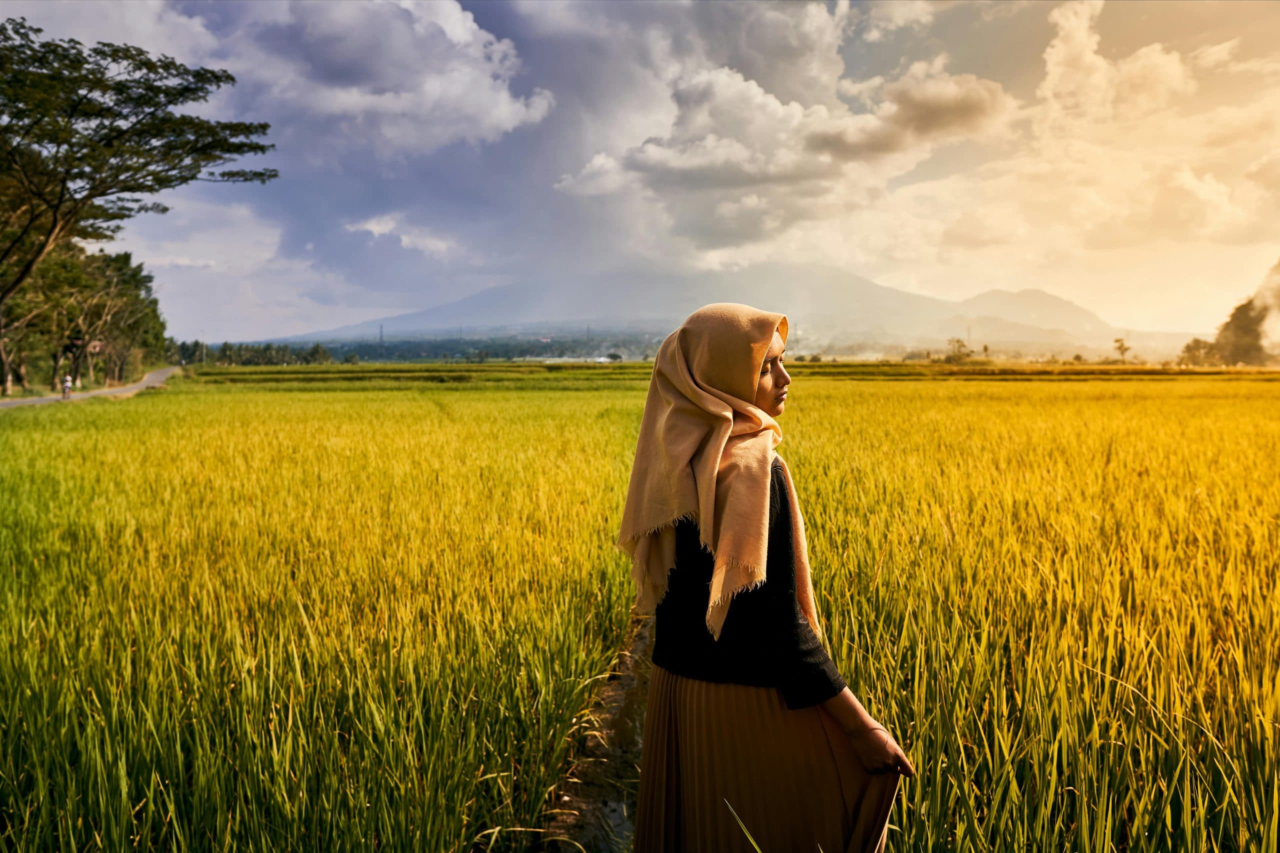 The Comprehensive Handbook of Travel Photography and Storytelling