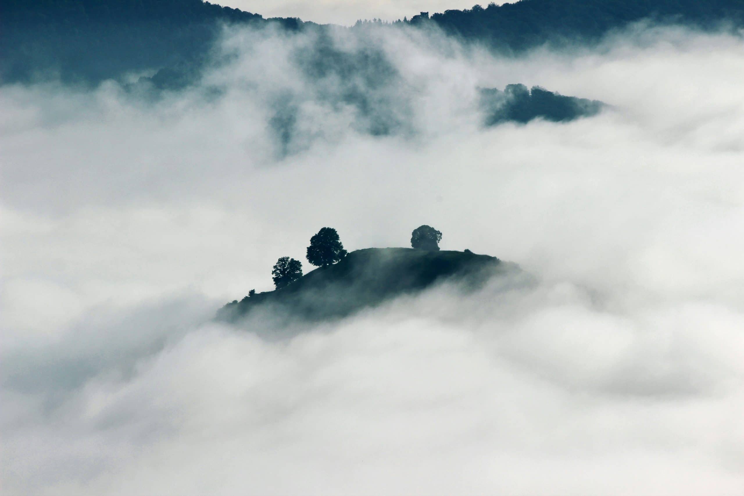Navigating the Complex Landscape of Higher Education Challenges