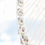 Breaking Down the Complex World of Modern Ride-Sharing Services